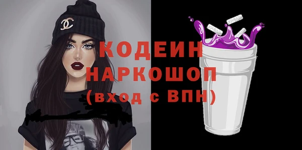 дживик Инта