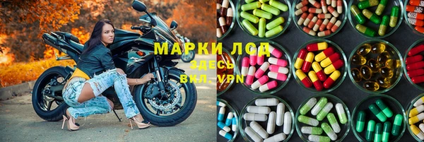крисы Алексин