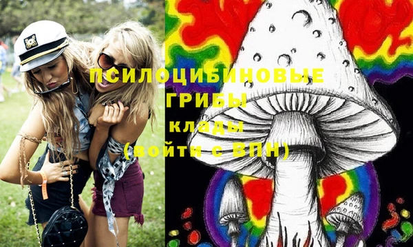 крисы Алексин