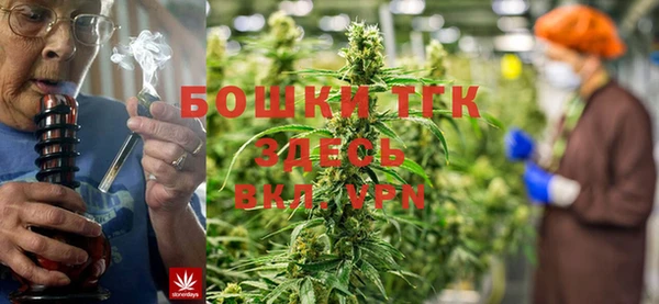 крисы Алексин